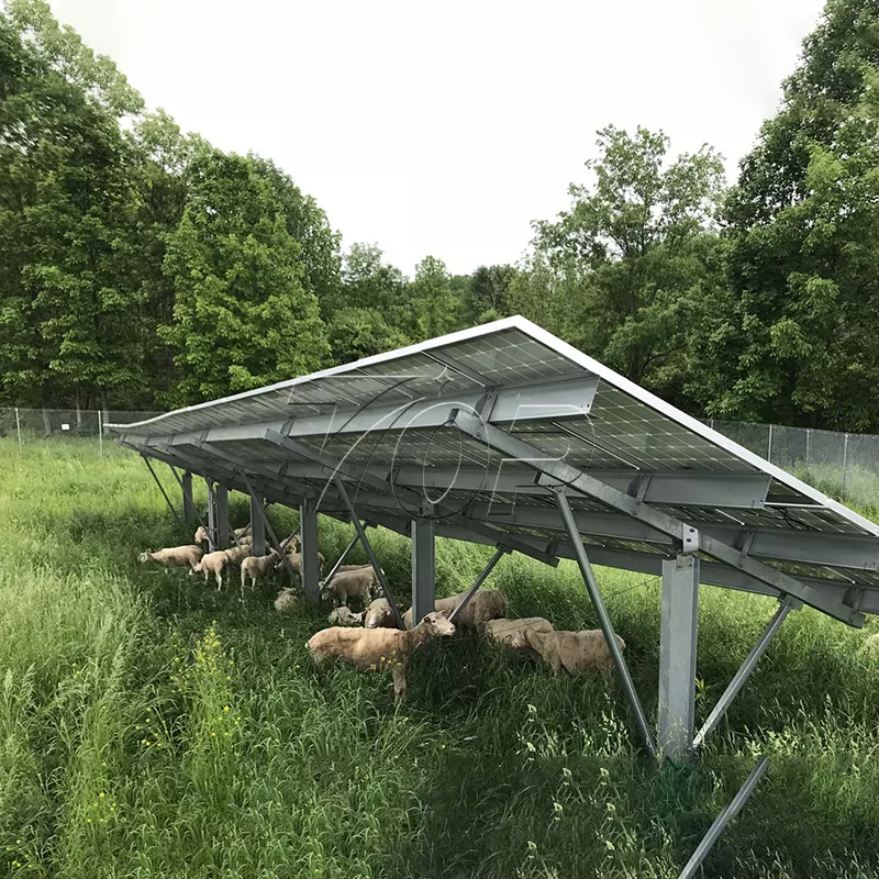 Solpaneler för lantbruk: Hjälper jordbrukets energihållbarhet till en högre nivå!